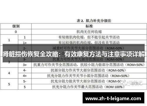 肾脏损伤恢复全攻略:有效康复方法与注意事项详解 肾脏损伤恢复全攻略:有效康复方法与注意事项详解
