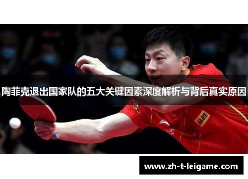 陶菲克退出国家队的五大关键因素深度解析与背后真实原因
